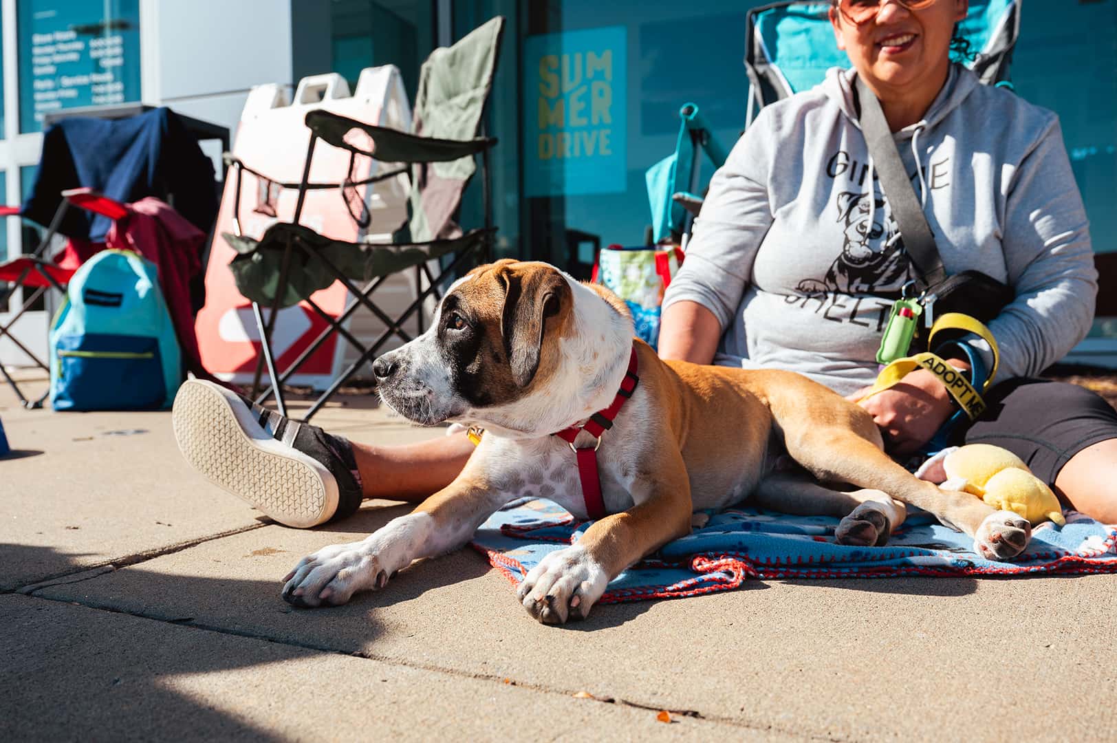 Adoption Event at Walser Subaru Burnsville