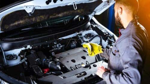 Checking Oil Level