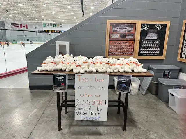 The Teddy Bear Toss