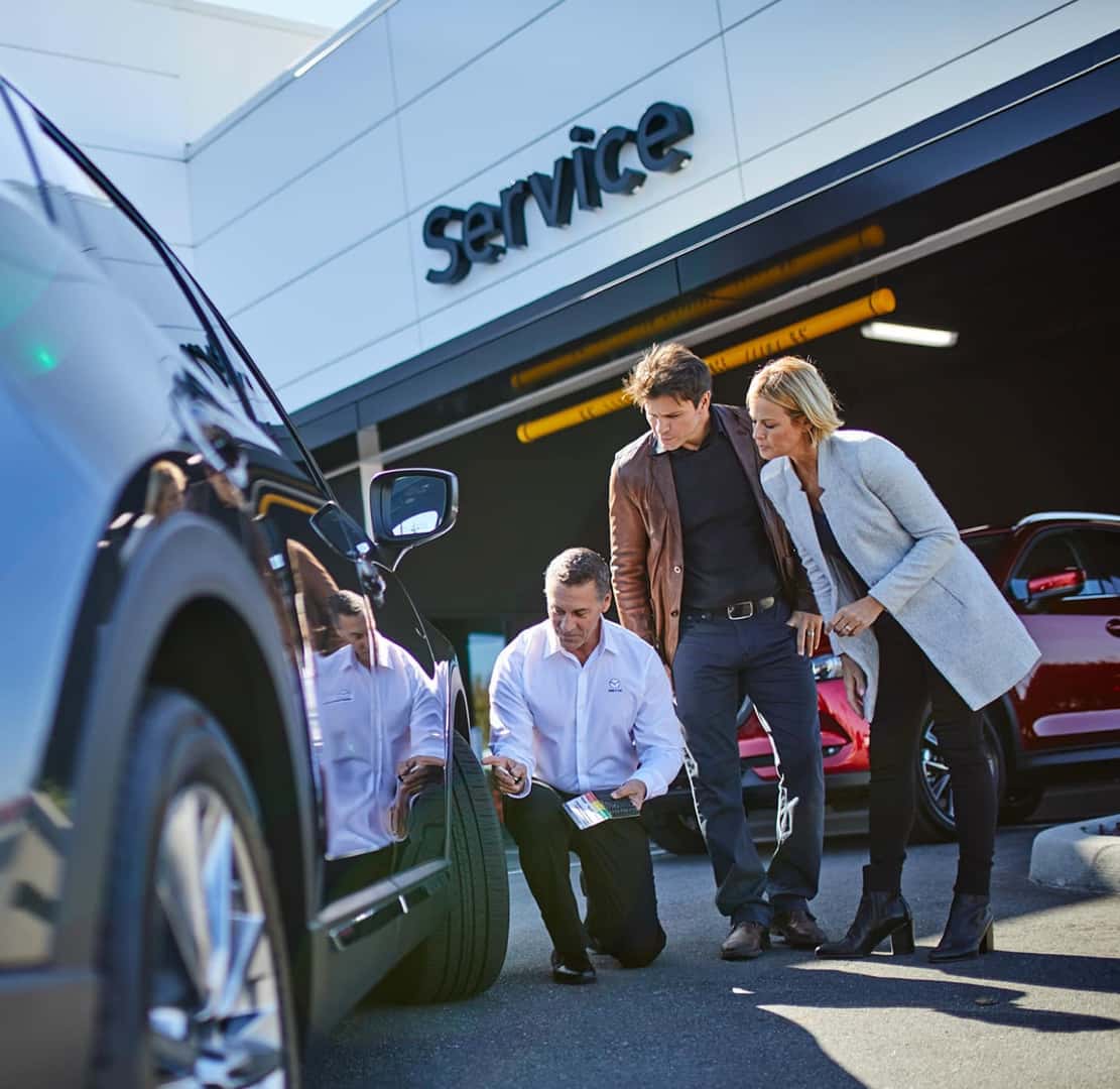 Professional Service