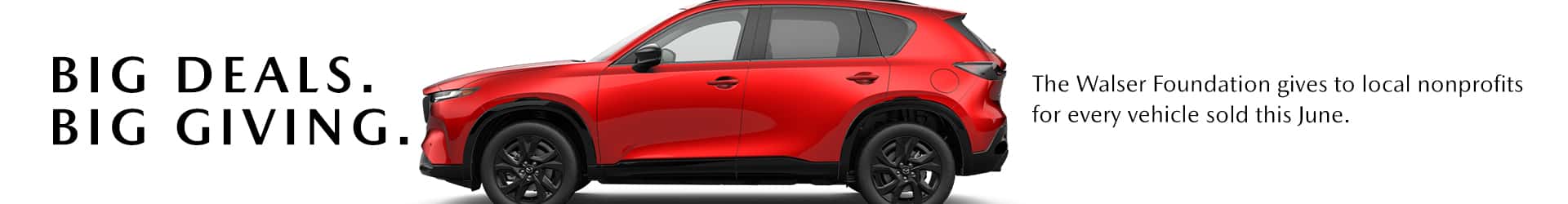 Support a local Charity when you buy a car from Walser Burnsville Mazda