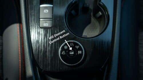 Hill Descent Control Button