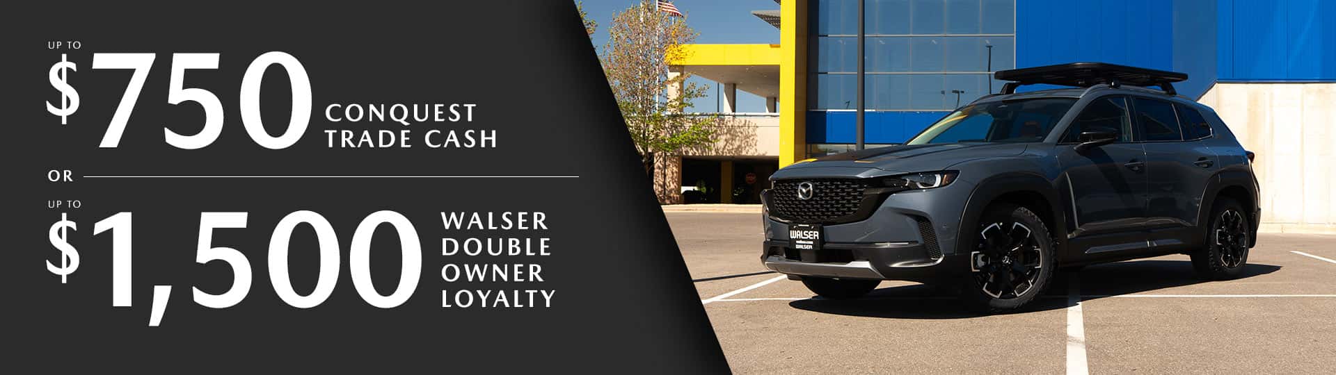 Loyalty & Conquest Cash